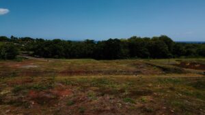 Domaine de Bel Ombre I Heritage Villas Valriche I Terrain à Vendre - Image 1