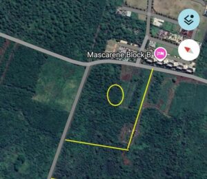 🌴 Opportunité Balaclava I Terrain 3 Arpents - Image 2