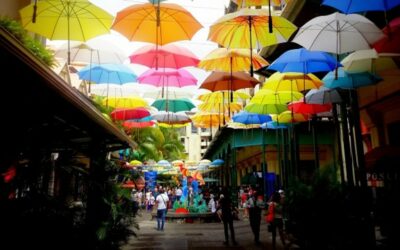 🌍 L’île Maurice : un refuge stratégique pour les investisseurs dans un monde en mutation